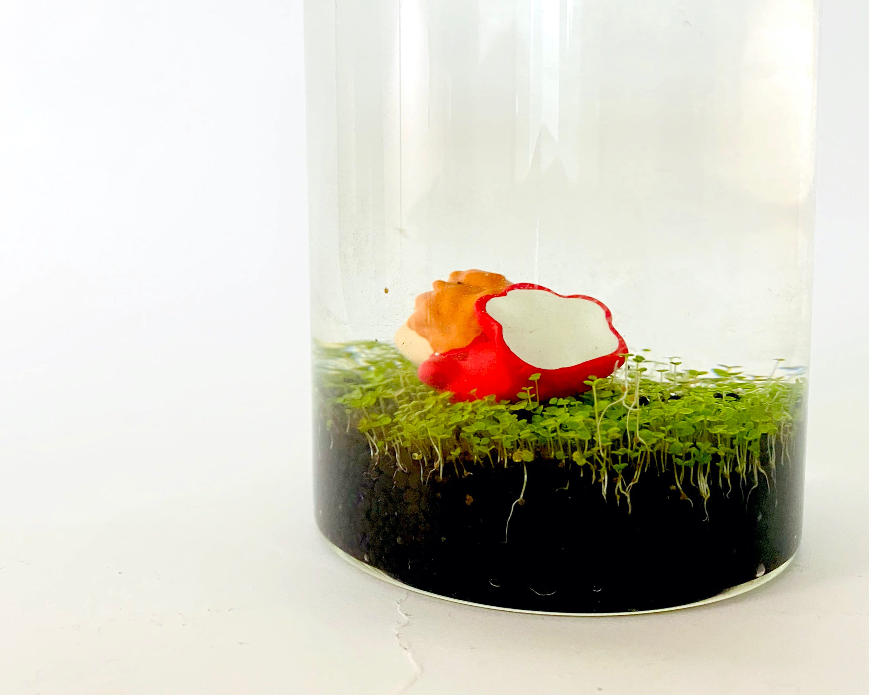 DIY Aqua Terrarium Kit Includes Figurine Glass Tube Soil Etsy