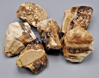 May include: A collection of six brown and white banded agate stones. The stones are rough and have a natural, unpolished finish.