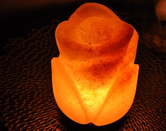 Himalayan Pink Salt Flower Shape Lamp, Dimmer Switch Electric Cord & Bulb, Night Light