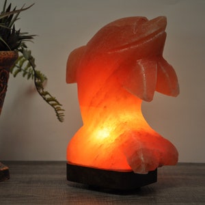 May include: A pink Himalayan salt lamp shaped like a dolphin with a warm orange glow. The lamp is on a wooden base and is lit.