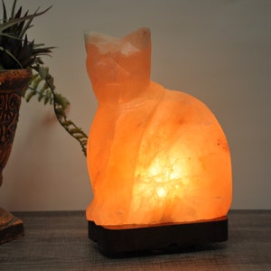 Himalayan Pink Salt Cat Shape Lamp, Night Light Lamp, 8" Height