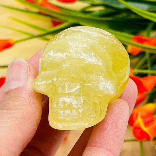 Pineapple Calcite Skull | Pineapple Crystal Skull | Realistic Detail | Handmade Crystal | Healing Fine Art Sculpture | Metaphysical | Reiki