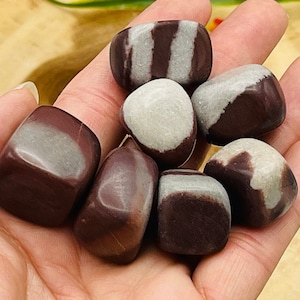 Shiva Lingam Tumbled Stone, Tumbled Shiva Pocket Stone, Sacred Stone from Narmada River India