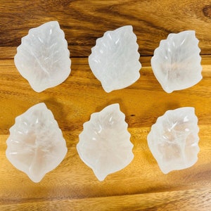 May include: Six white selenite leaf-shaped dishes on a wooden surface. The dishes are smooth and have a natural, organic look.