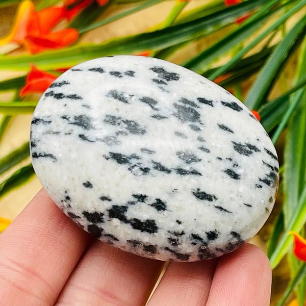 White Tiger Jasper Palm Stone | White Tiger Pocket Stone l Crystal Healing Stone | Soothing & Calming Massage Stone | Stress Reliever