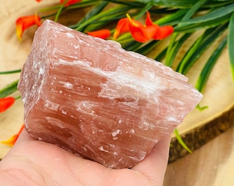 May include: A large, raw, pink selenite crystal with white striations. The crystal is in the palm of a hand.