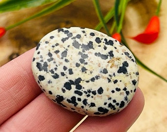 Dalmatian Jasper Smooth Stone | Dalmatian Jasper Stone | Dalmatian Jasper Gemstones | Pocket Stone | Massage Stone