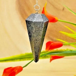 May include: A silver metal pendulum with a black, pointed, crystal-shaped tip. The pendulum is hanging from a silver chain and is in focus against a blurred background of orange flowers and green leaves.