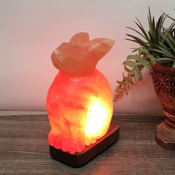 Natural Himalayan Pink Salt Lamp with Dimmer Switch & 2 Bulbs, Pink Salt Bunny Night Light Desk Lamp, 8" Height