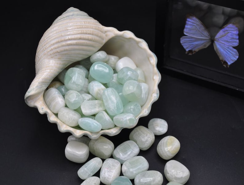 Op de afbeelding: Een schelp gevuld met lichtgroene en witte getrommelde stenen. De stenen zijn glad en gepolijst en vallen uit de schelp op een zwart oppervlak.