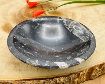 Orthoceras Round Bowl, Healing Crystal, Fossil Bowl, 4 inches