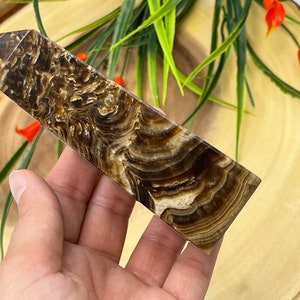 May include: A polished, rectangular crystal tower with a pointed top. The stone features swirling patterns of brown and cream colors. The crystal is held in a hand, with greenery and orange flowers in the background.