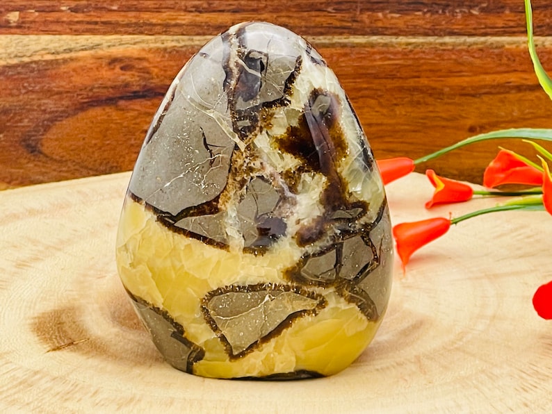 Septarian Form Septarian Free Form Crystal, Yellow Septarian Freeform Standing Display ...