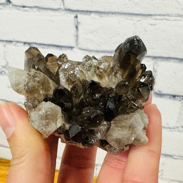 Smoky Quartz Crystal Cluster, Natural Quartz Specimen, Rock Cluster Points, Raw Smoky Quartz Point Cluster