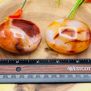 May include: Two carnelian tumbled stones, one with a white and orange swirl pattern and the other with a white and brown swirl pattern, are displayed on a wooden surface with a ruler for size reference.