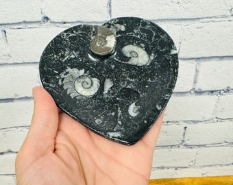 Orthoceras Heart Shape Bowl, Fossil Bowl for Incense and Crystal Cleansing, 4.5 inches