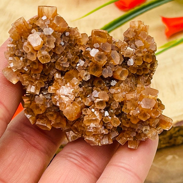 Essentials Aragonite Cluster | Aragonite Crystal Clusters | Star Aragonite Raw Crystals | Healing Crystal | Chakra Cluster | Reiki