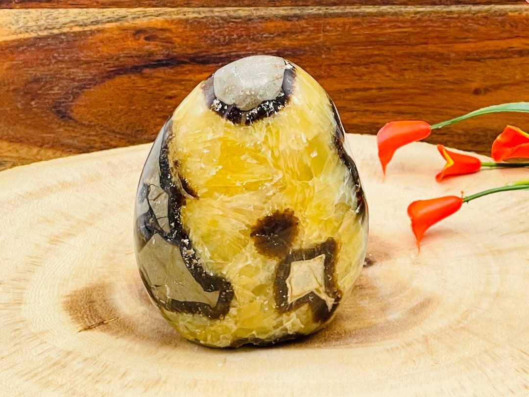 Septarian Form Septarian Free Form Crystal, Yellow Septarian Freeform Standing Display ...