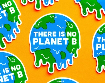 No Planet B Vinyl Sticker - Global Warming laptop decal - Earth Day die cut sticker