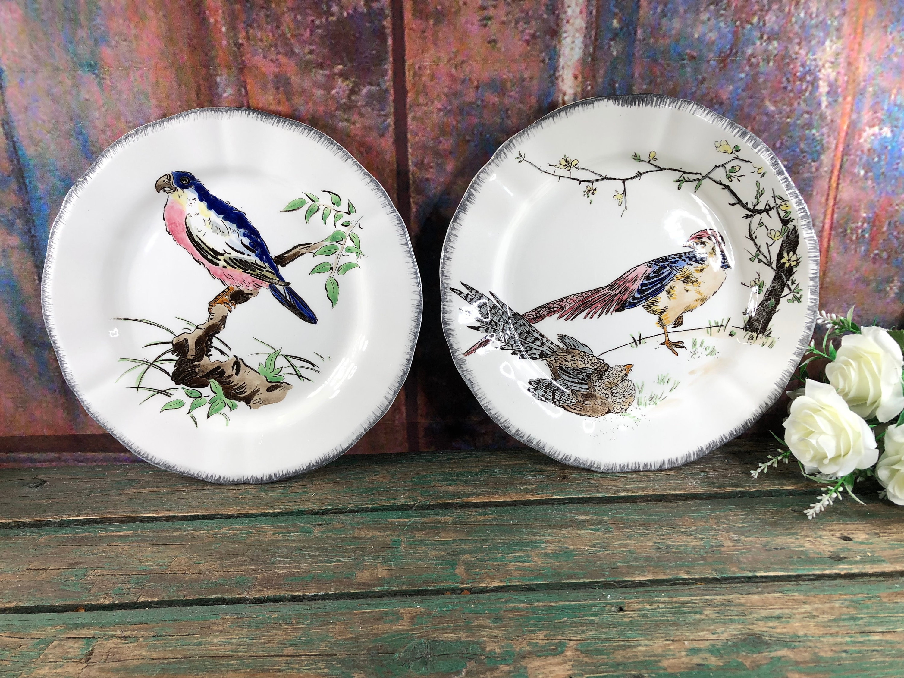 Assiette Plate Les Grands Oiseaux de Gien Assiette Perroquet et Faisan Doré