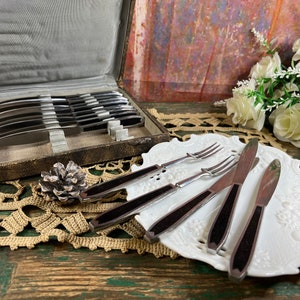 Cutlery set dessert with 12 knives and 12 forks Apolonox