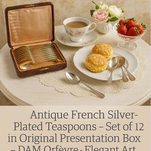 Antique French Silver-Plated Teaspoons – Set of 12 in Original Presentation Box – DAM Orfèvre – Elegant Art Deco Flatware – 20th Century