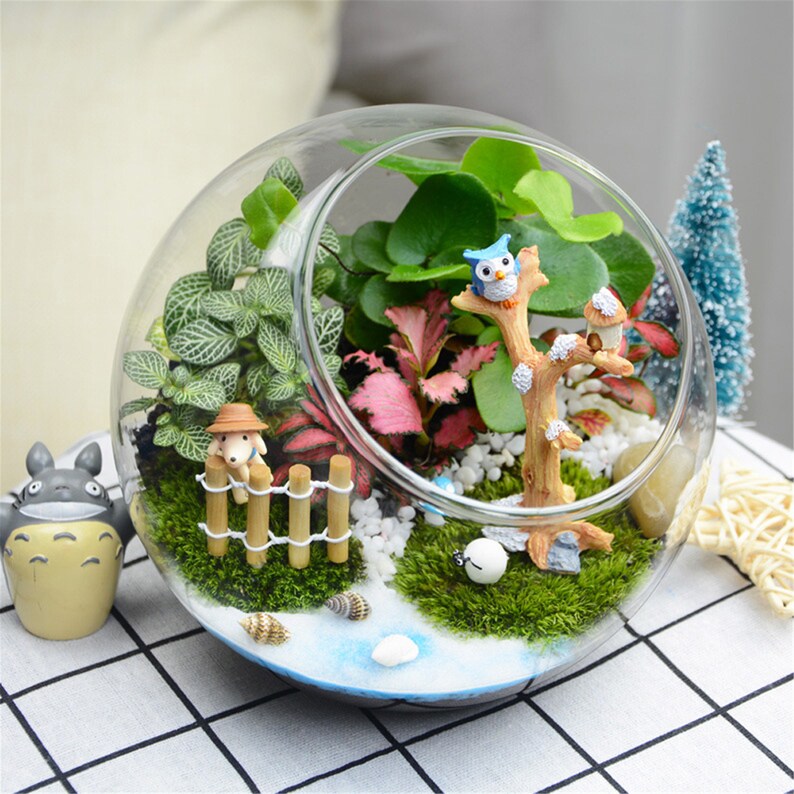 3 Pcs Plant Terrarium Display Globe Glass Tabletop Air Plant Etsy