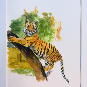 Tiger King