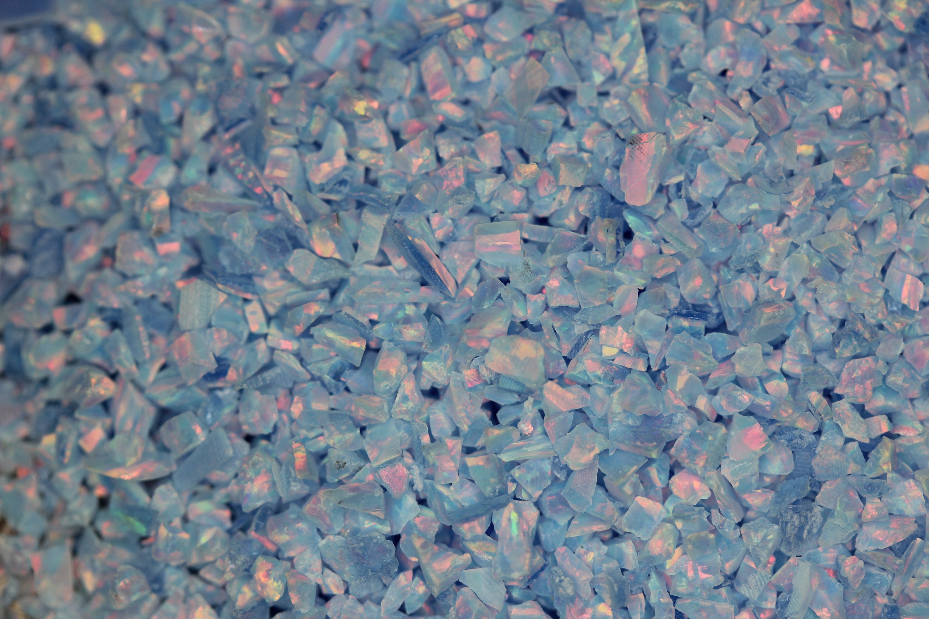 Crushed Opal, Cornflower Blue
