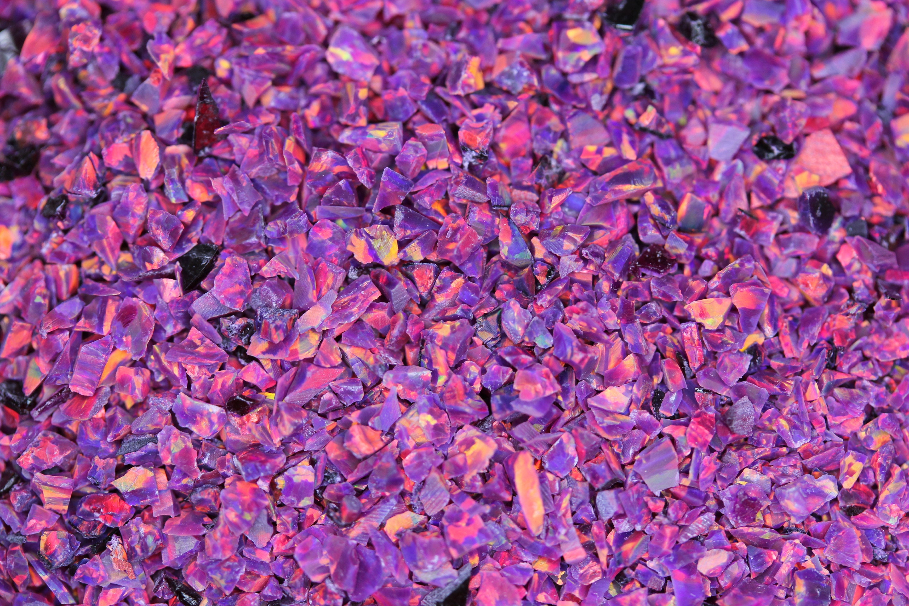 purple opal purple opal