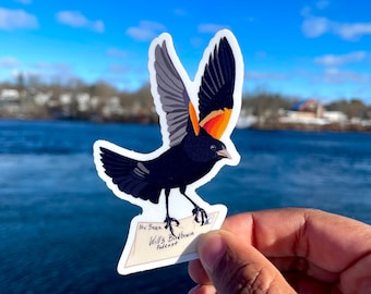 Red-Winged Blackbird sticker (Will's Birdbrain Podcast)