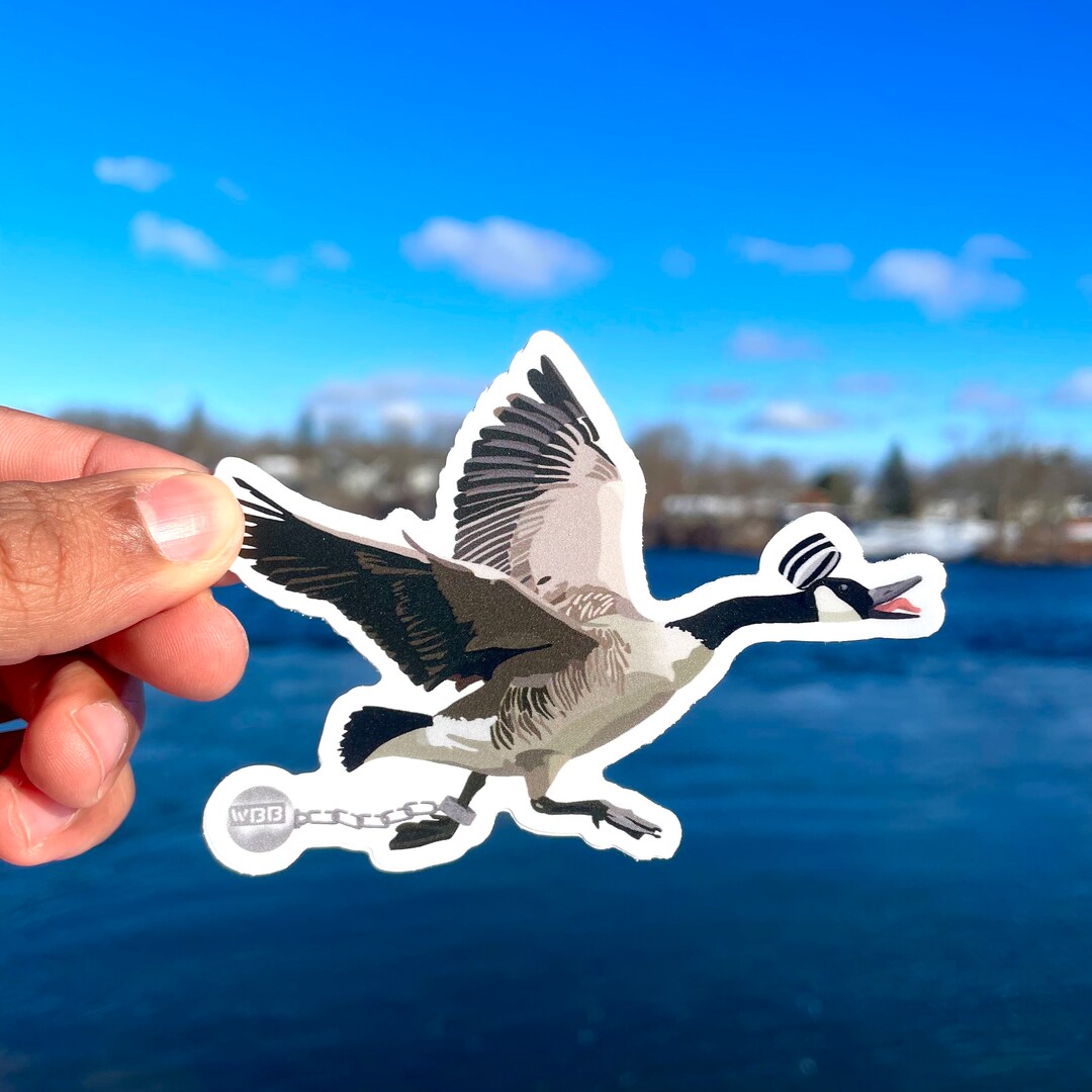 Canada Goose Sticker (will's Birdbrain Podcast) - Etsy