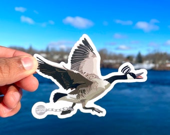 Canada goose sticker (Will's Birdbrain Podcast)