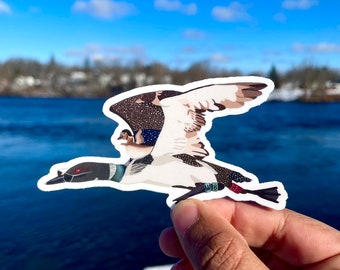 Common Loon sticker (Will's Birdbrain Podcast)