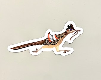 Roadrunner Magnet (Will’s Birdbrain Podcast)