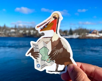 Brown Pelican sticker (Will's Birdbrain Podcast)