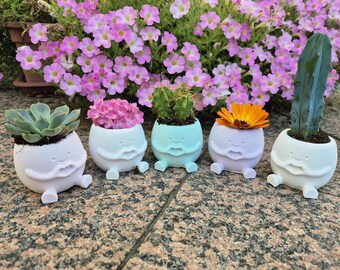 Macetas pequeñas con cara y pies, corte de pelo bob, regalo, colores pastel para plantas