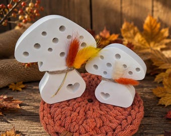 Juego de otoño Posavasos Hongo Flores secas Amanita muscaria Flores secas de ganchillo regadas Naranja