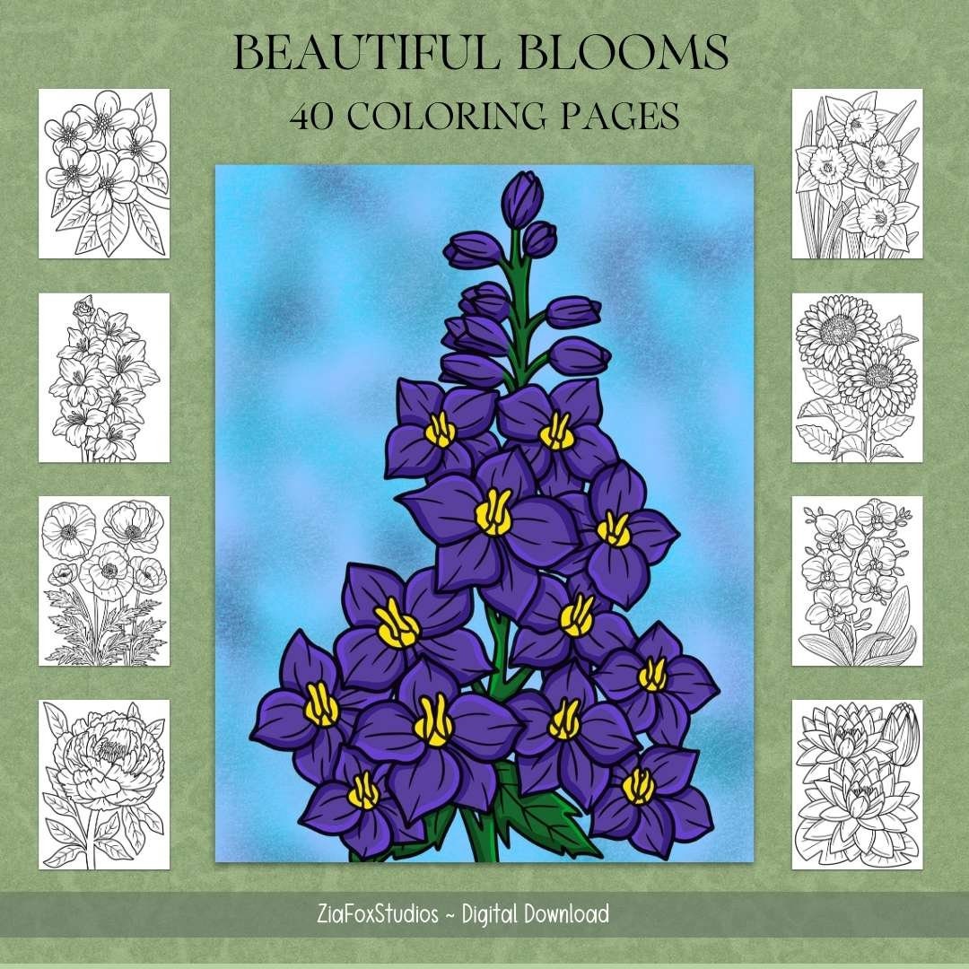 Beautiful Blooms Coloring Book: 40 Enchanting Florals (roses, Iris ...