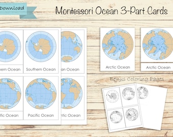 Può includere: Un set di carte Montessori in 3 parti sull'oceano che presenta mappe dell'Oceano Artico, dell'Oceano Antartico, dell'Oceano Pacifico e dell'Oceano Atlantico. Le carte sono stampate su carta bianca con contorni blu e marroni. Il set include anche pagine da colorare bonus.