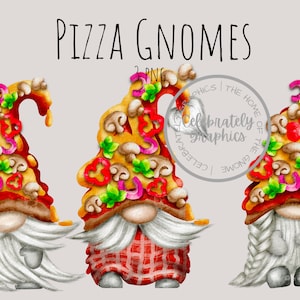 Pizza Gnome Clipart, Fast Food Gnome Png  , instant download, PNG digital