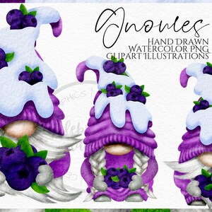 Blueberry Gnome Clipart, Watercolour Hand Drawn Clipart instant download, PNG digital
