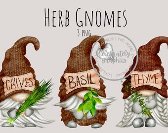 Herb Gnome Png , Thyme, Chives,  Basil, Cooking Gnomes instant download, PNG digital