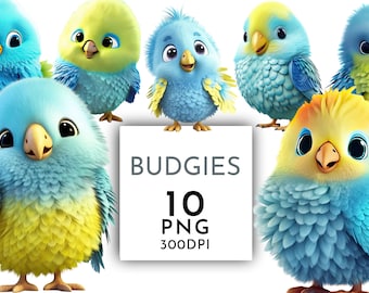 Cute Budgie Clipart PNG, Clipart Pack of 10, Crafts Card Making Transparent Background, Instant Download, Digital File, Commercial clipart