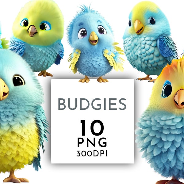 Cute Budgie Clipart PNG, Clipart Pack of 10, Crafts Card Making Transparent Background, Instant Download, Digital File, Commercial clipart