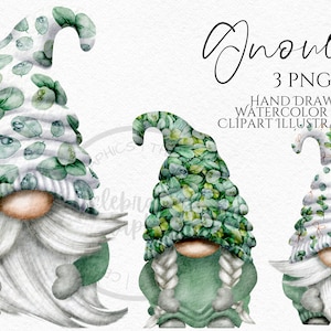 Clipart di gnomi di eucalipto PNG Greenery Gonk disegnato a mano acquerello download istantaneo clipart commerciale digitale