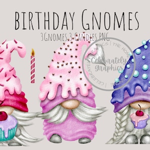 Birthday Gnome clipart, Hand Drawn watercolour Party clipart, Cake  , instant download, PNG digital