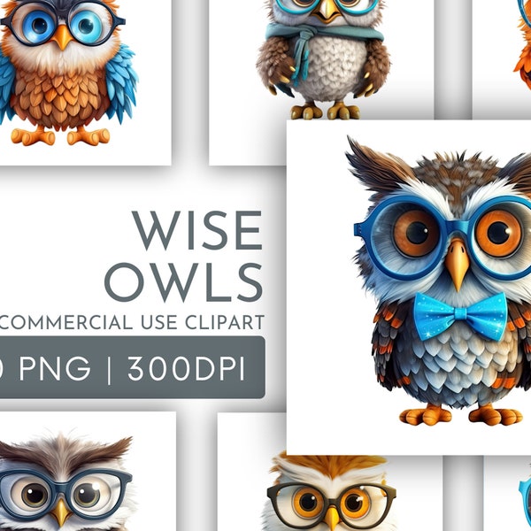 Cute Wise Owls Clipart PNG, Clipart Pack of 10 Crafts Card Making Transparent Background, Instant Download, Digital File, Commercial clipart