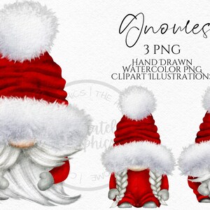 Christmas Hat Gnomes Png,  , Hand Drawn Watercolor  Gnome Clipart, Digital Instant Download, Commercial  PNG