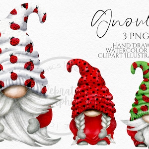 Coccinella Gnomo Clipart PNG Bundle Coccinella Gonk disegnata a mano acquerello download immediato clipart commerciale digitale